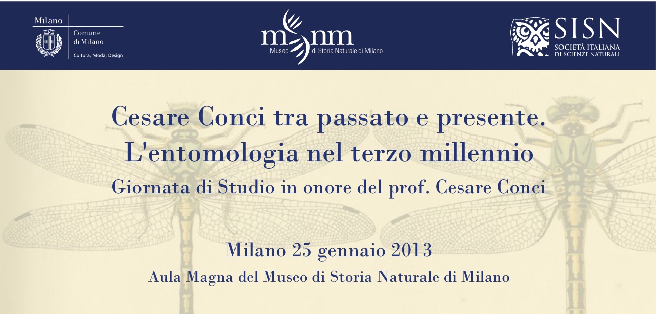 Giornata di Studio in onore del prof. Cesare Conci