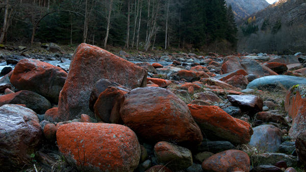Colore rosso/ruggine sui sassi del fiume Sesia