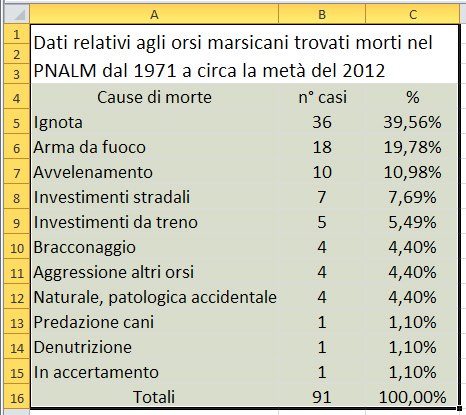 Finalmente l''orso!