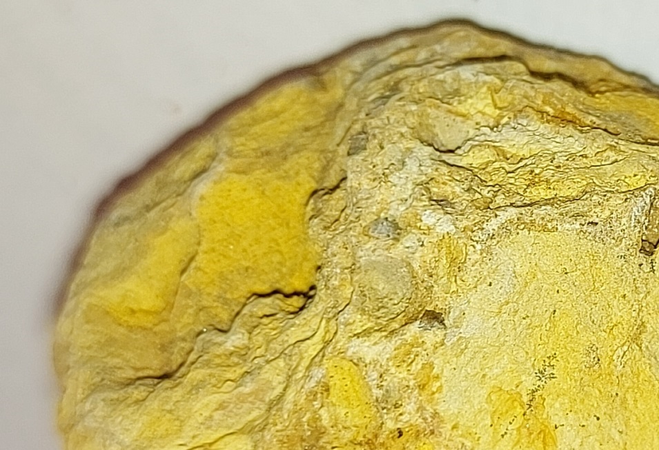 Roccia di colore giallo (da identificare)