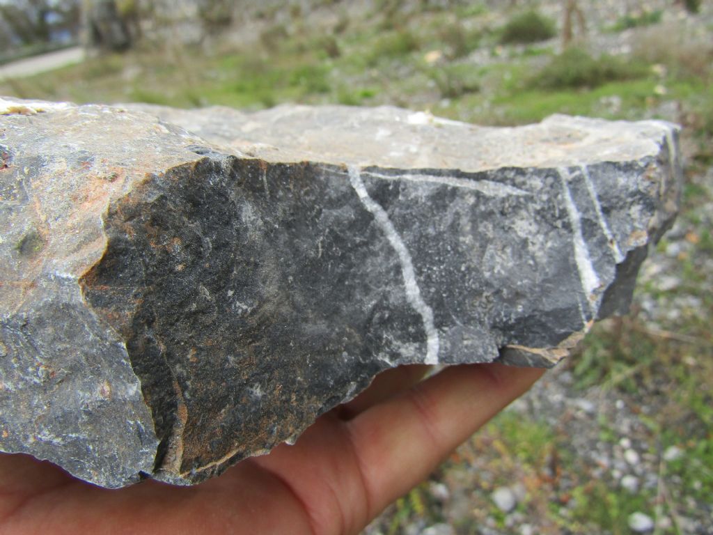 Calabria terra dalle tante sorprese