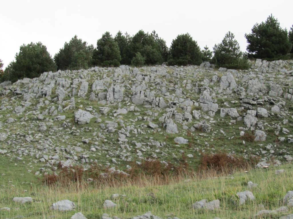 Calabria terra dalle tante sorprese