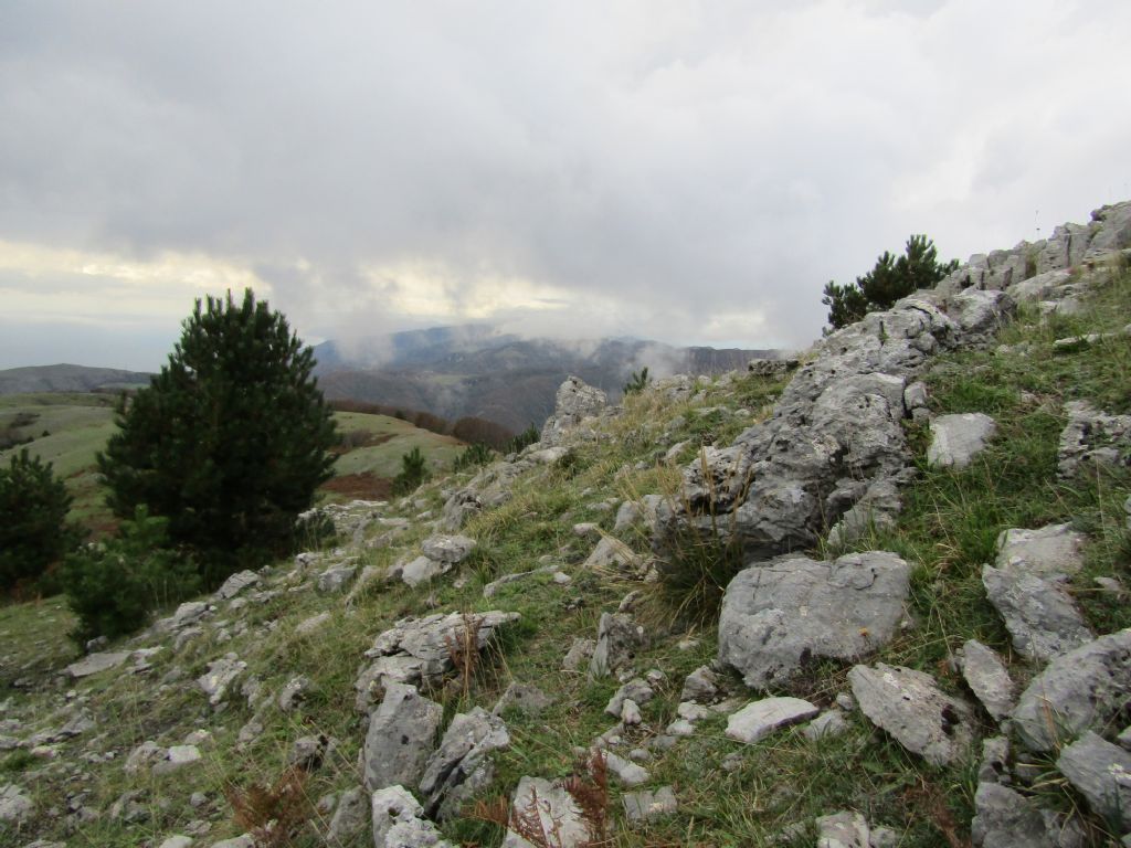 Calabria terra dalle tante sorprese