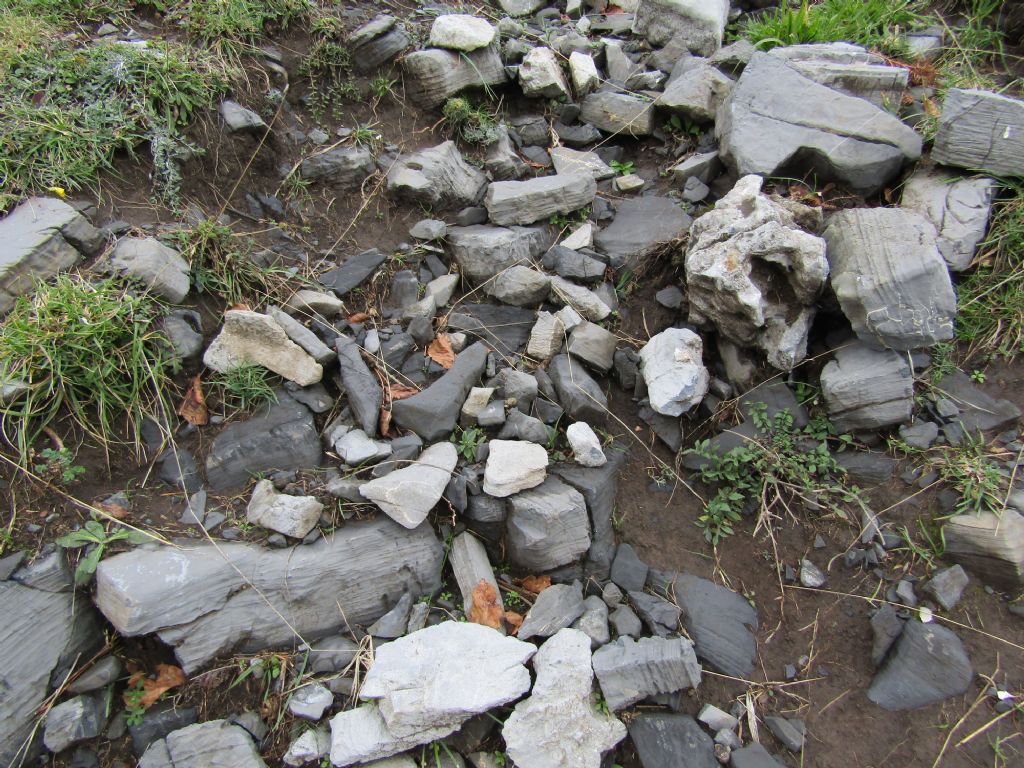 Calabria terra dalle tante sorprese