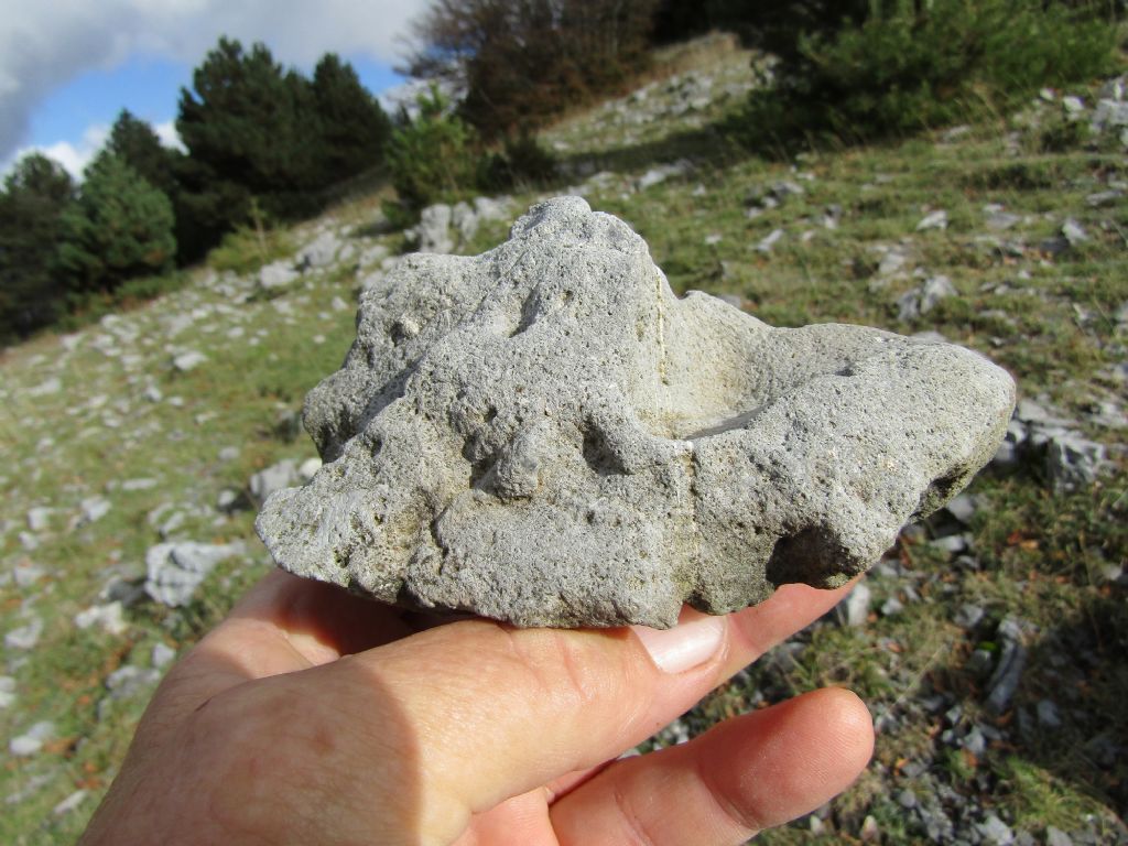 Calabria terra dalle tante sorprese