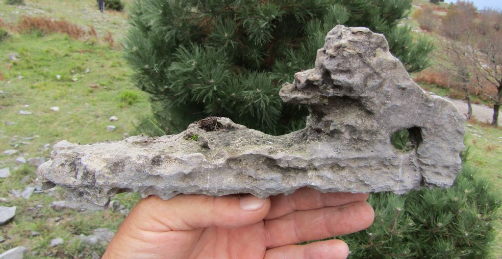 Calabria terra dalle tante sorprese