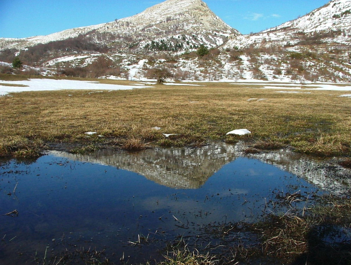 Un mondo riflesso...