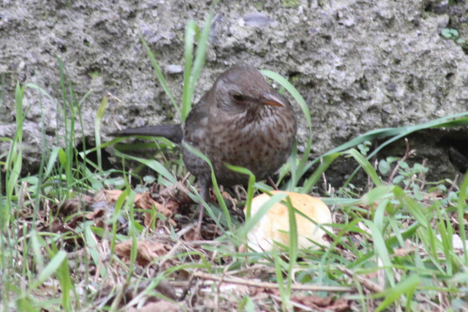 Altri clienti della paninoteca