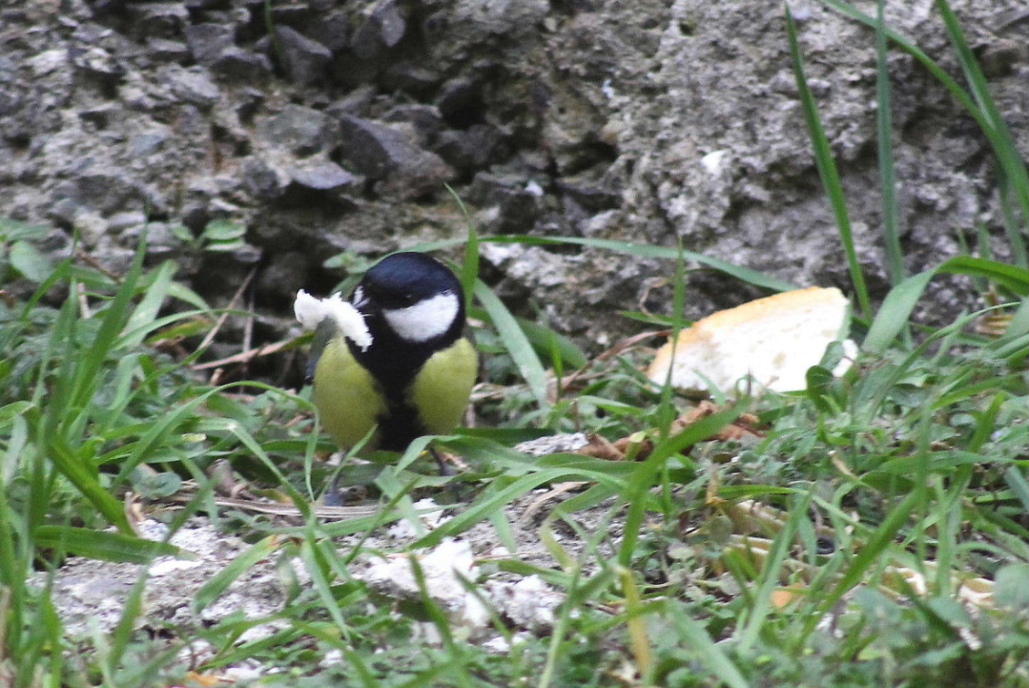 Altri clienti della paninoteca