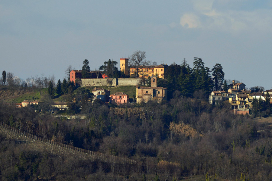 Quiz internazionale