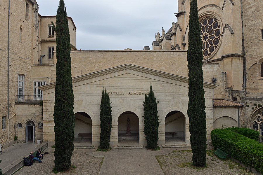 Quiz internazionale