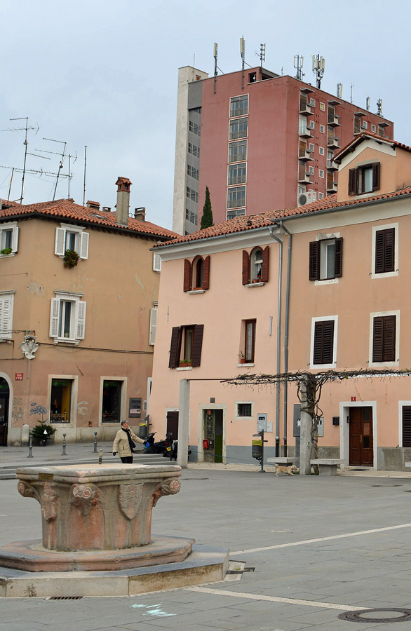 Quiz internazionale