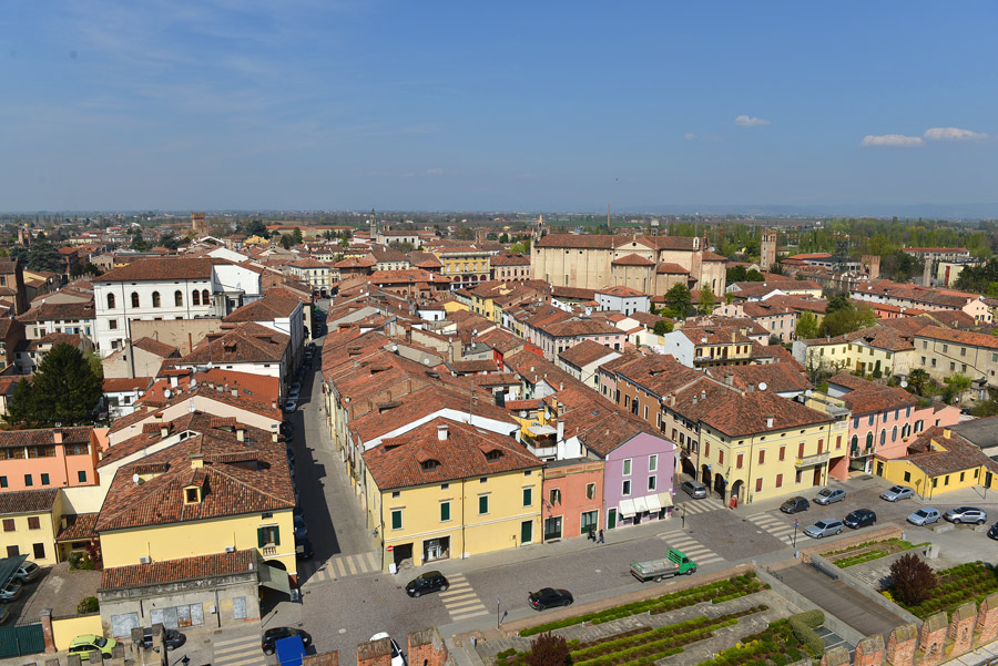 Quiz internazionale