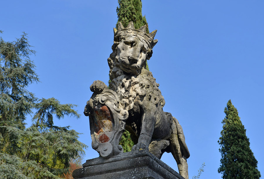 Quiz internazionale