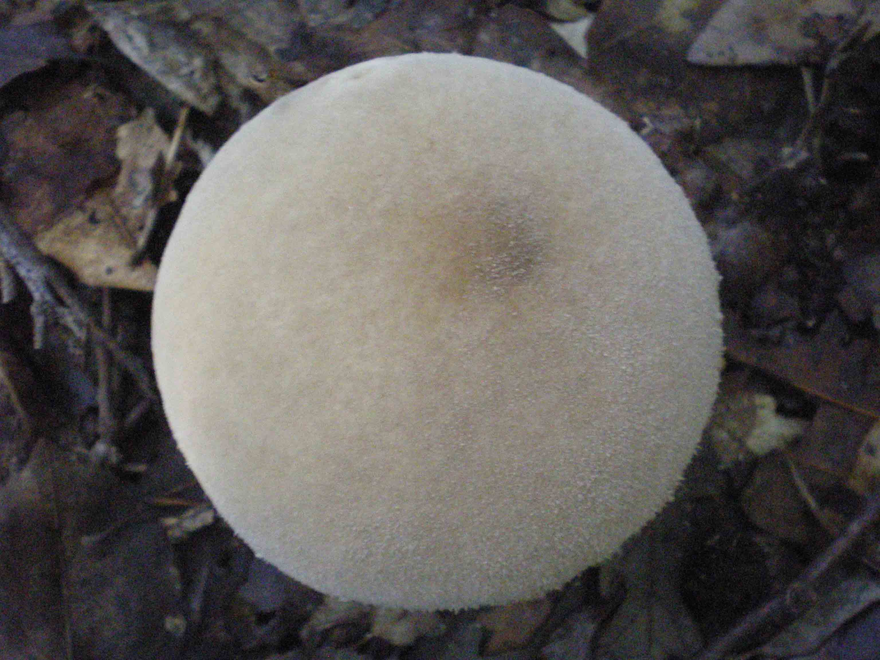 Colline Metallifere in ... questo autunno