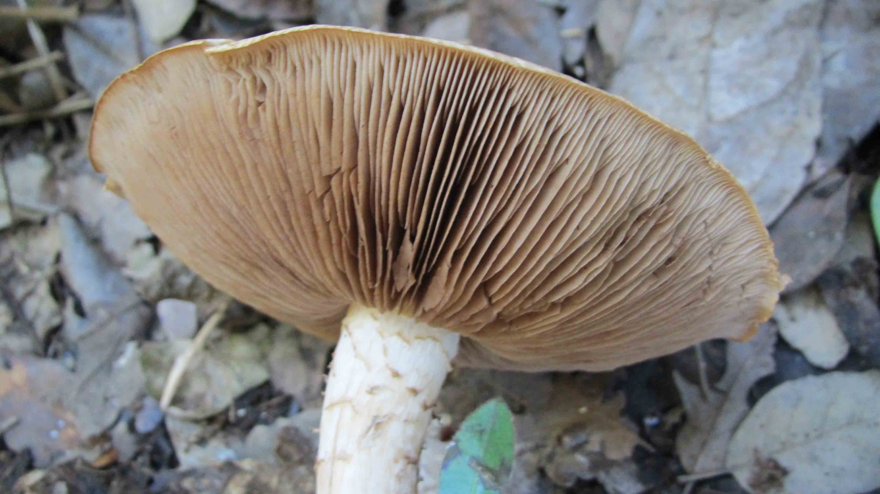 Riabilitazione ... novembrina...