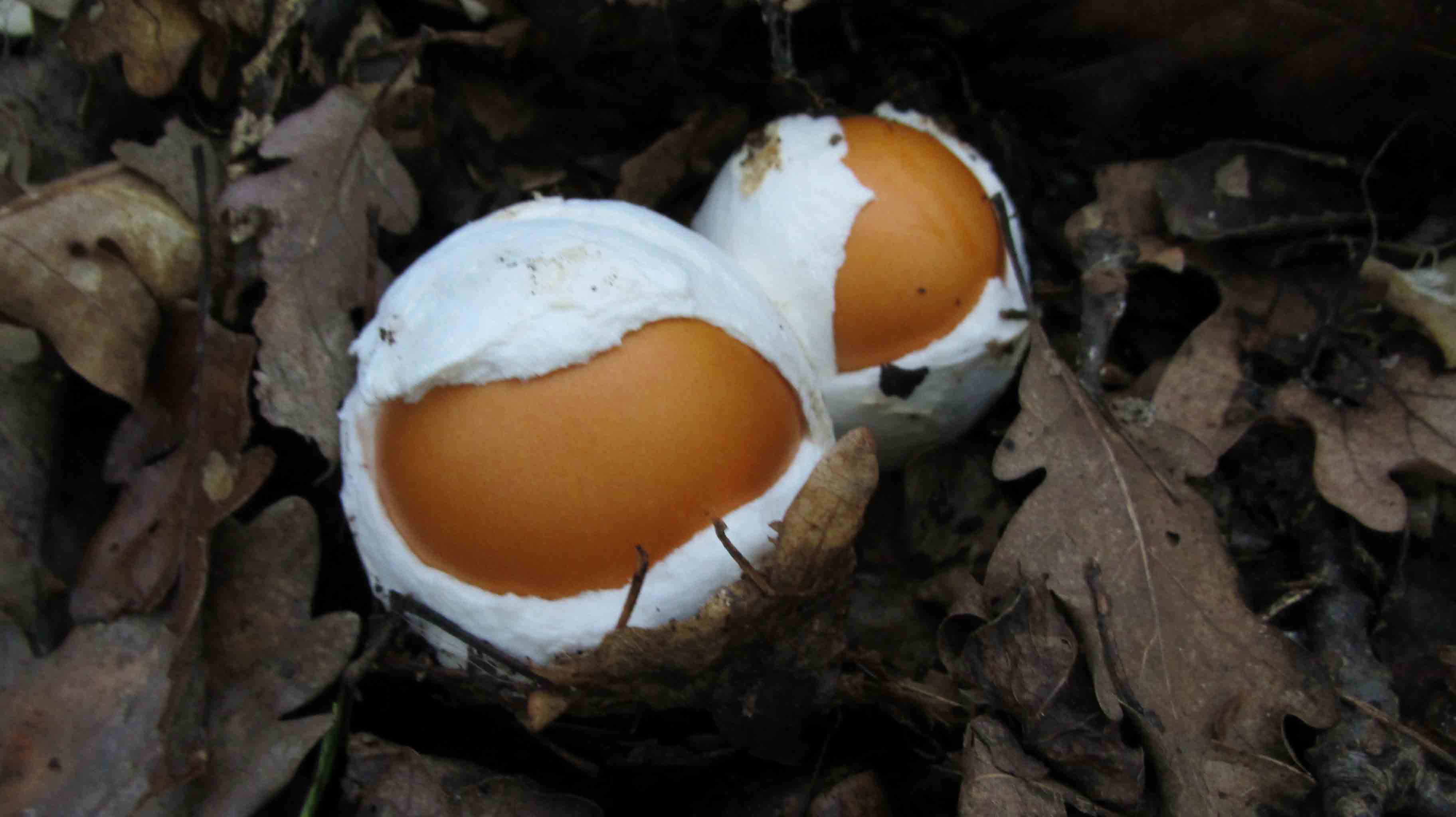 Riabilitazione ... novembrina...