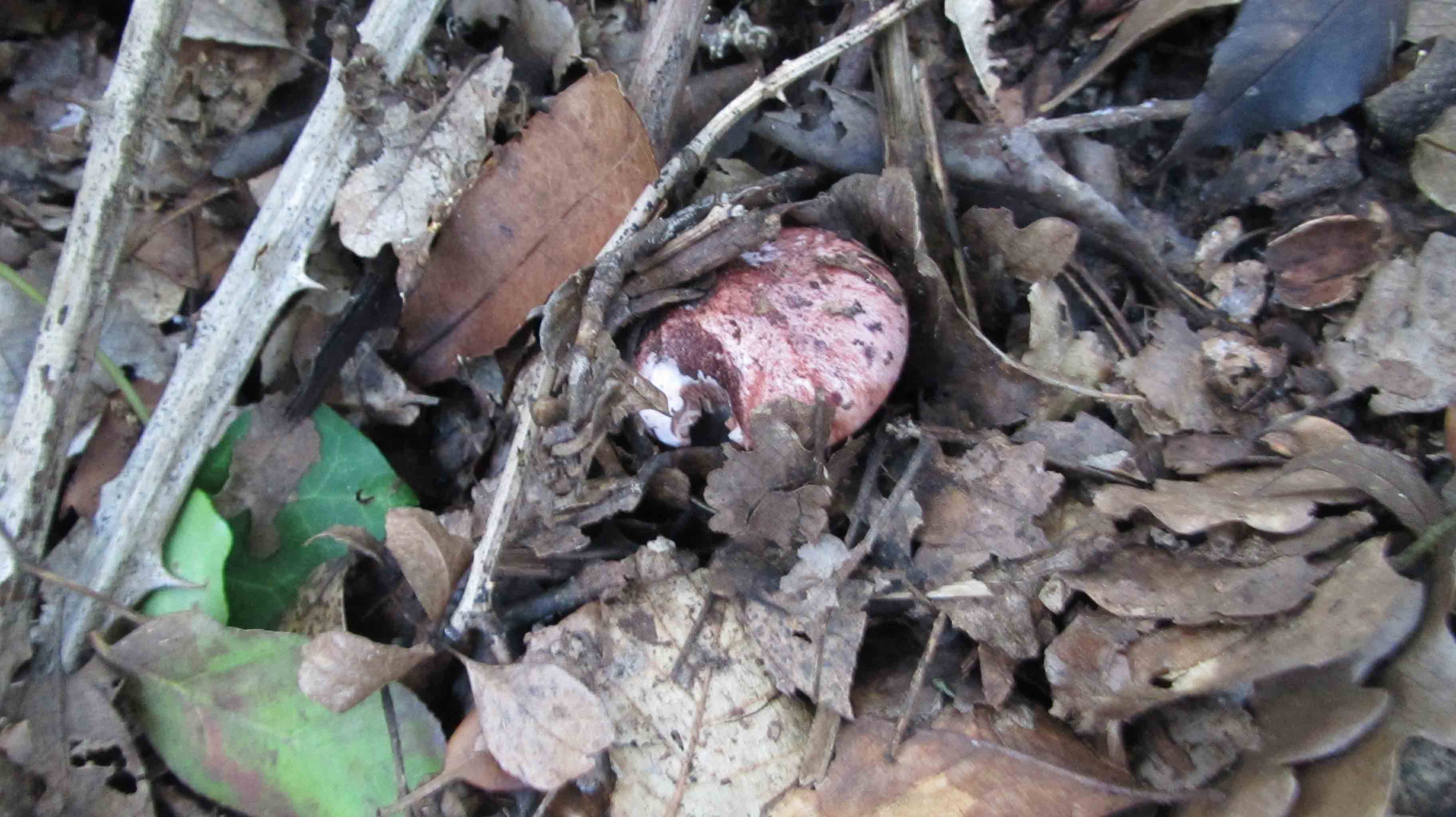 Riabilitazione ... novembrina...