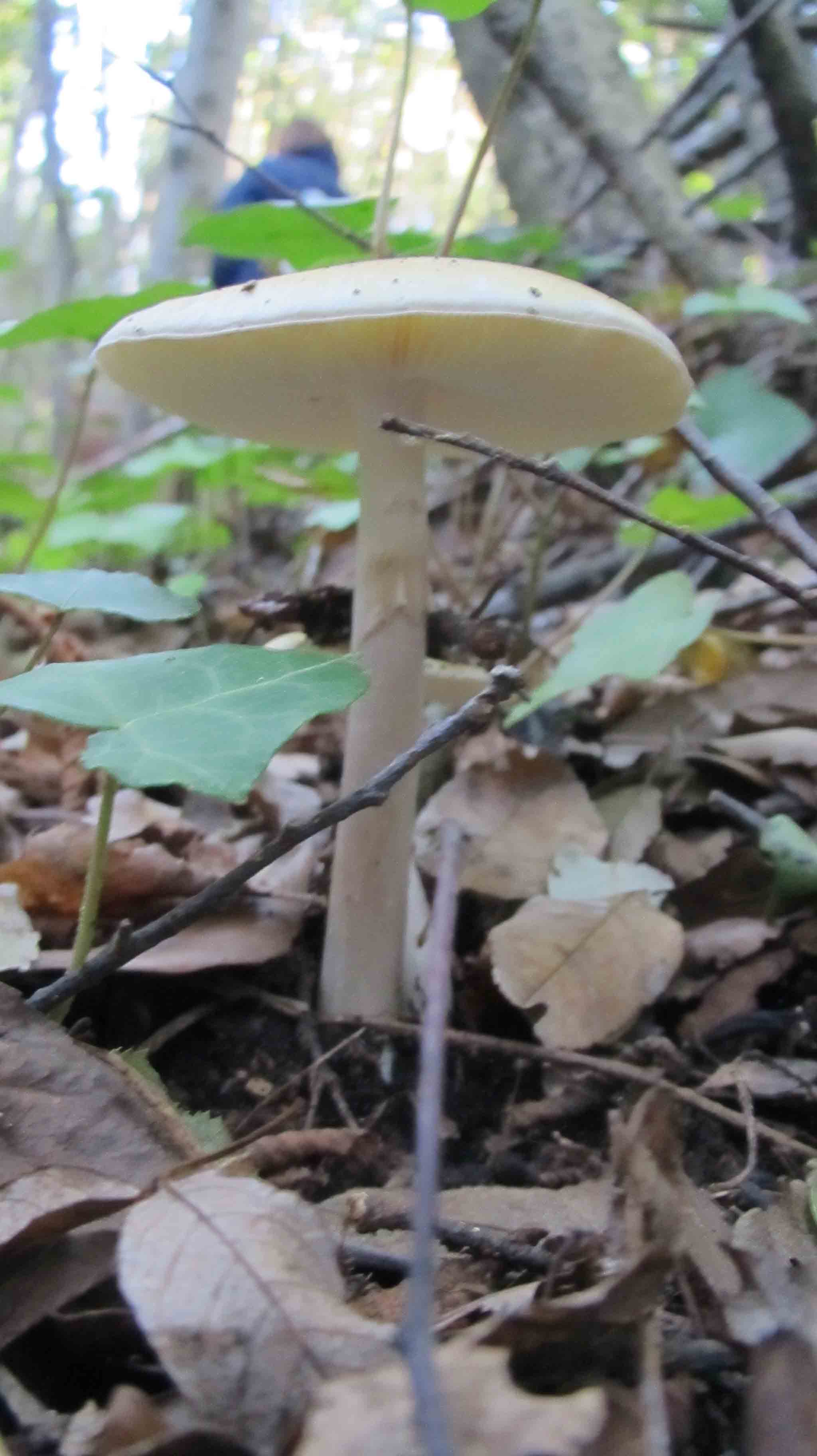 Riabilitazione ... novembrina...