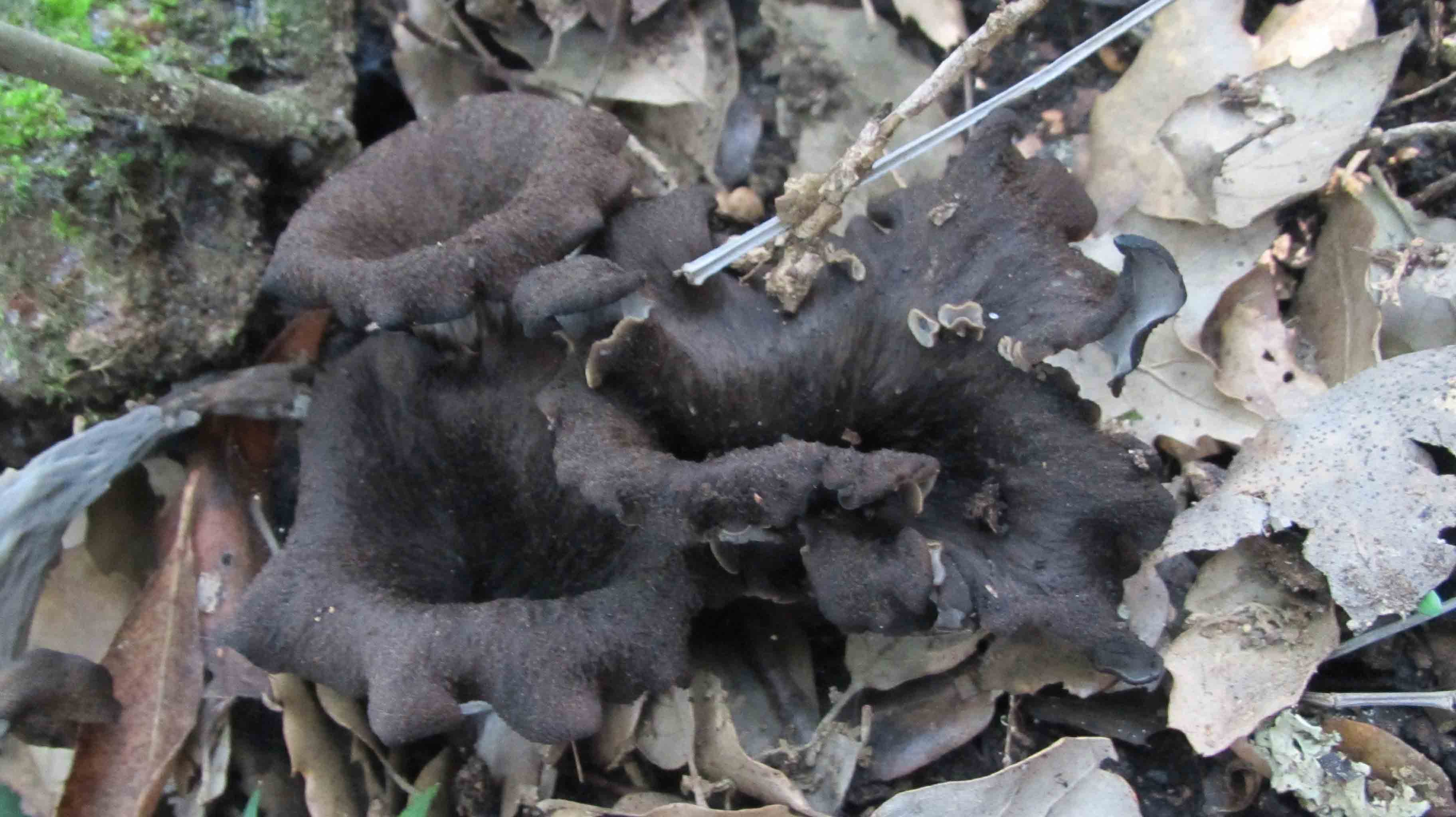 Riabilitazione ... novembrina...