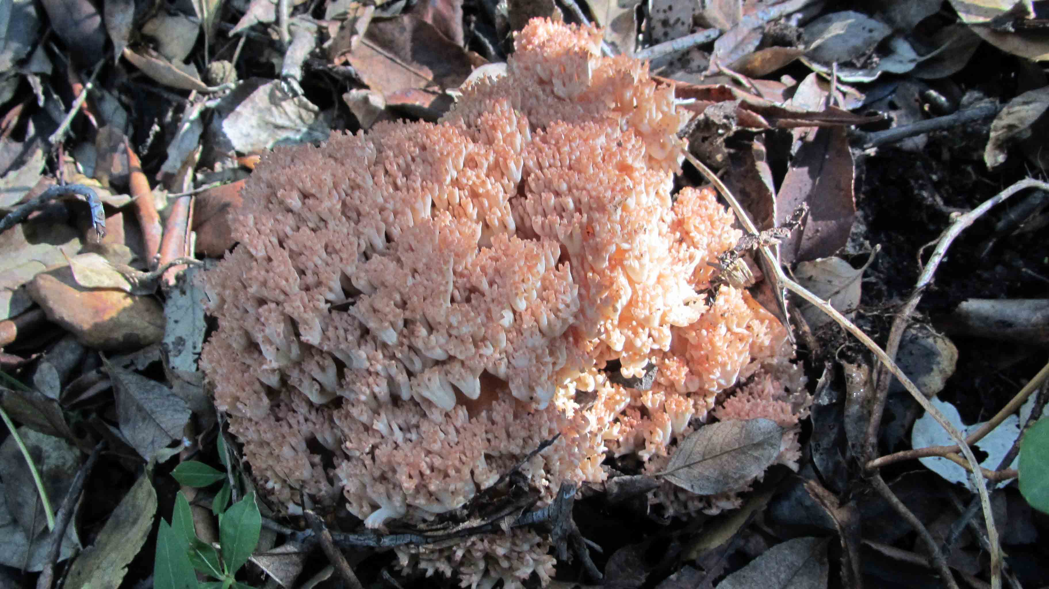 Riabilitazione ... novembrina...