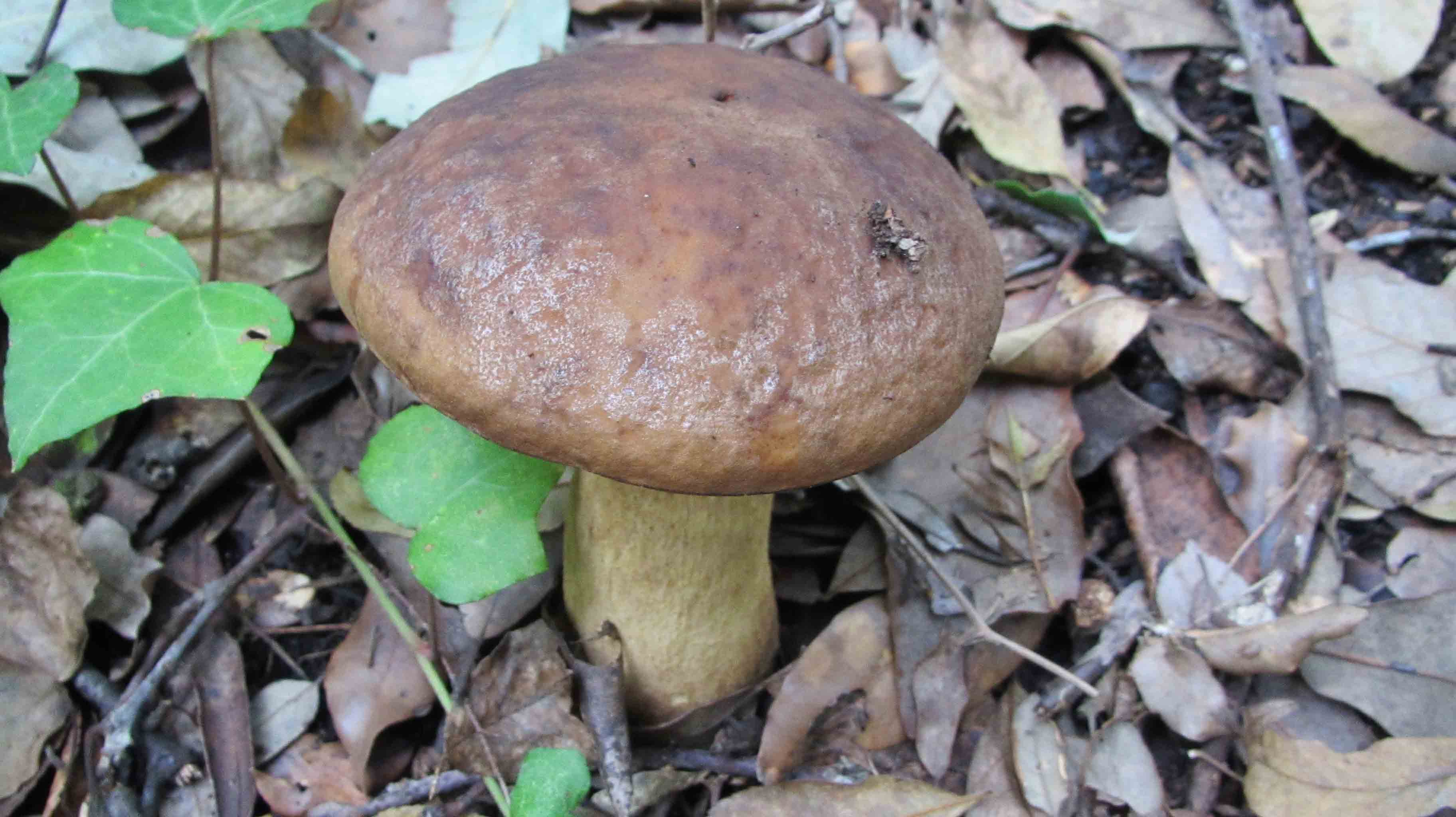 Riabilitazione ... novembrina...