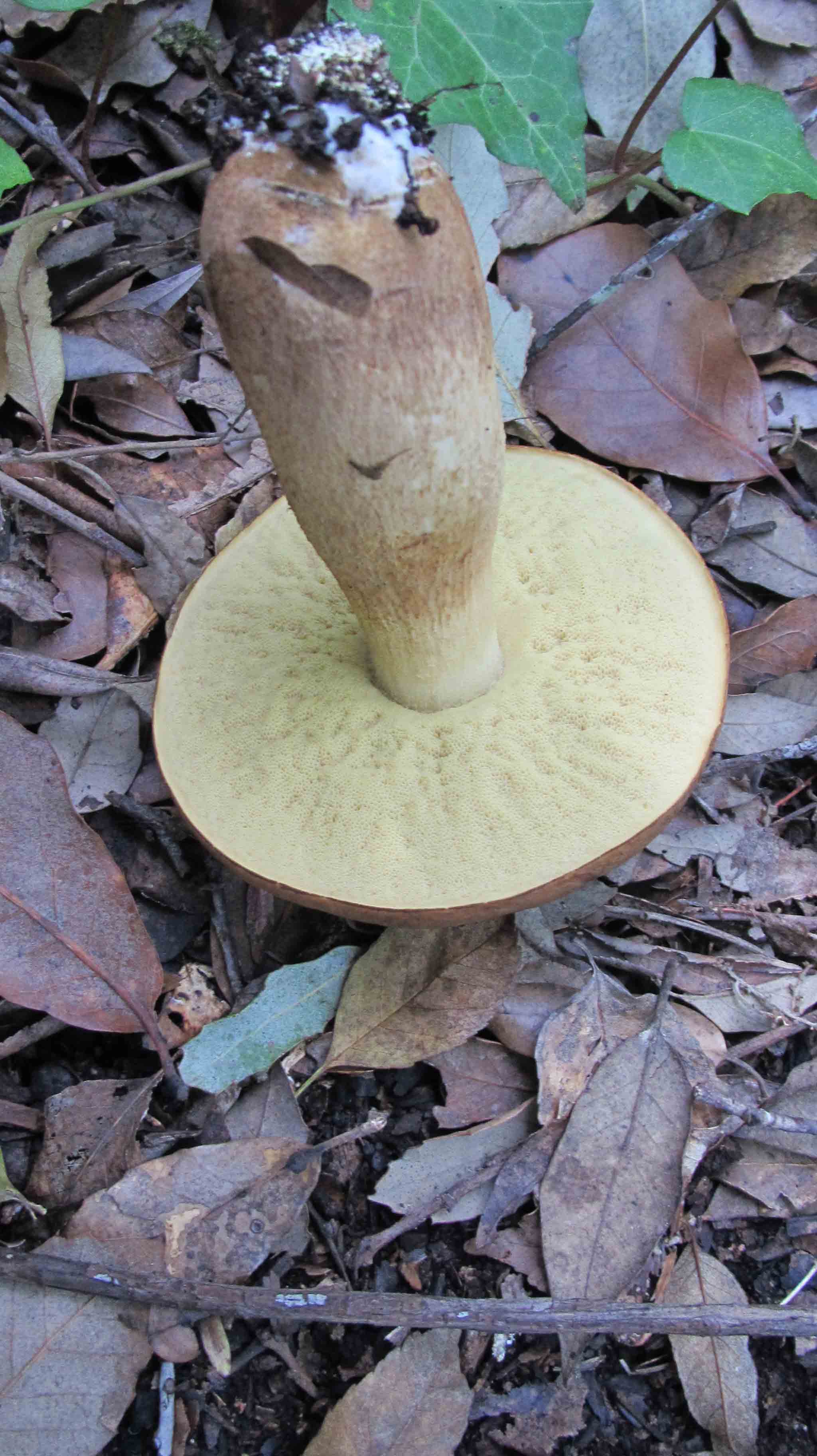 Riabilitazione ... novembrina...