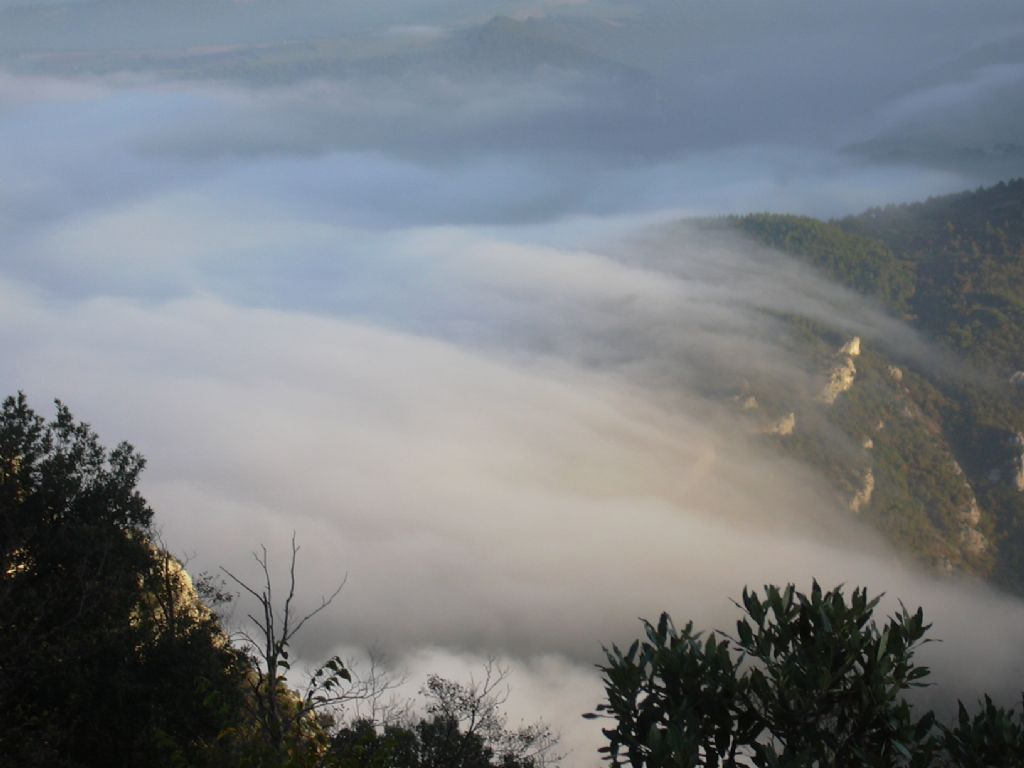 fiumi di nebbia