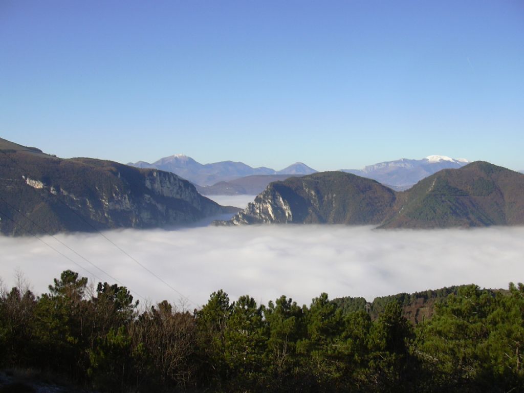 fiumi di nebbia