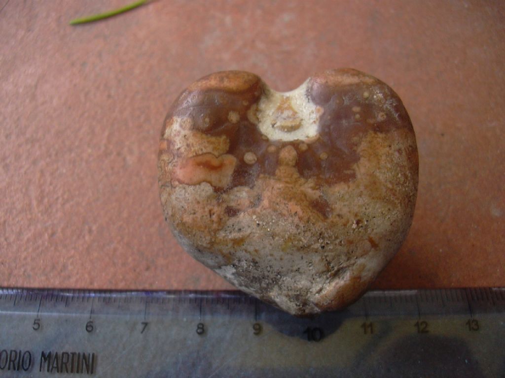 ciottolo tra i ciottoli