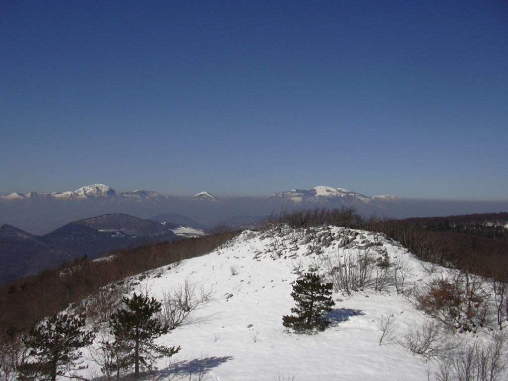 Panorami marchigiani