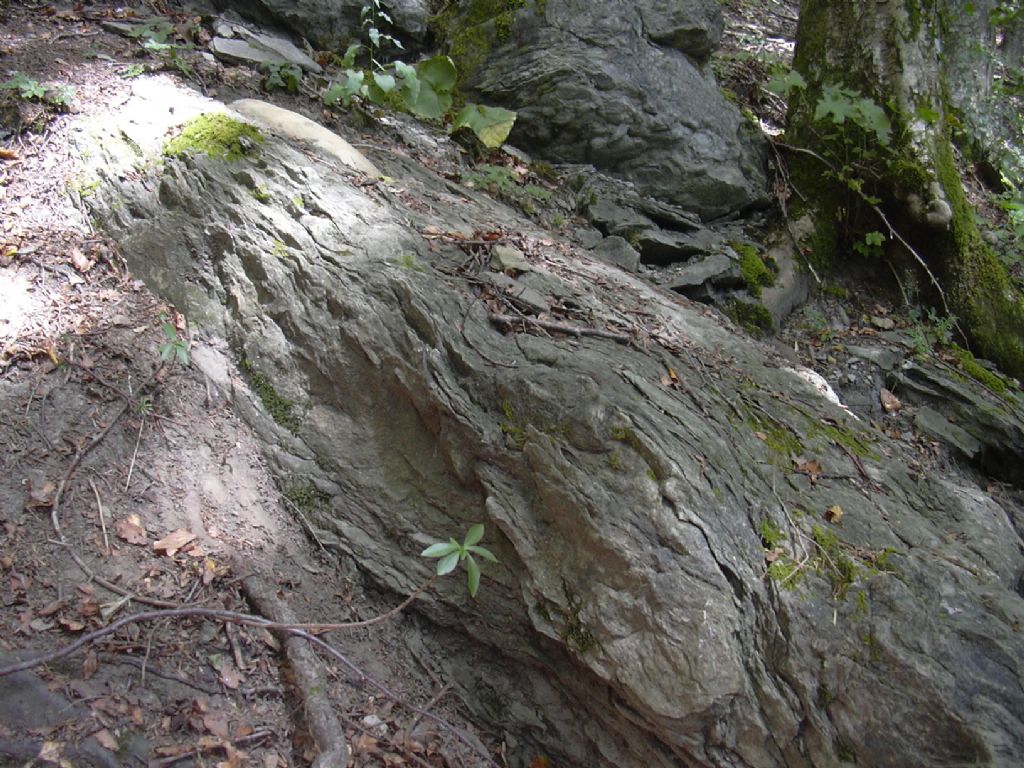 inclusione interessante