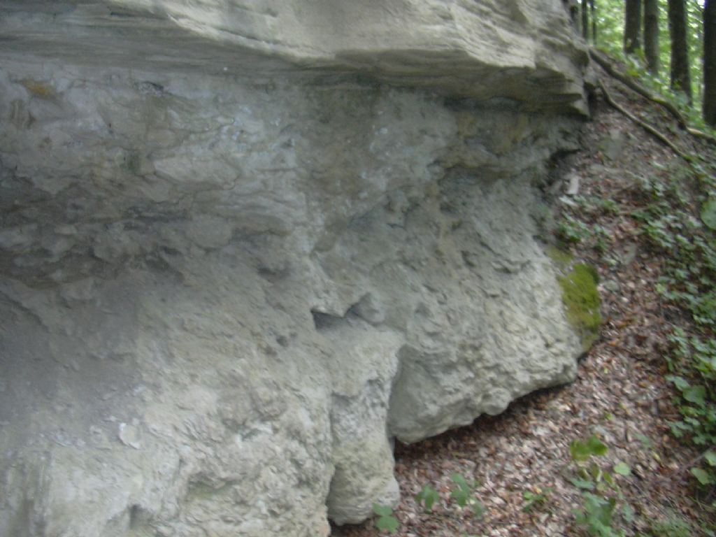 inclusione interessante