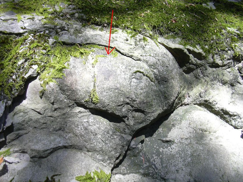 inclusione interessante