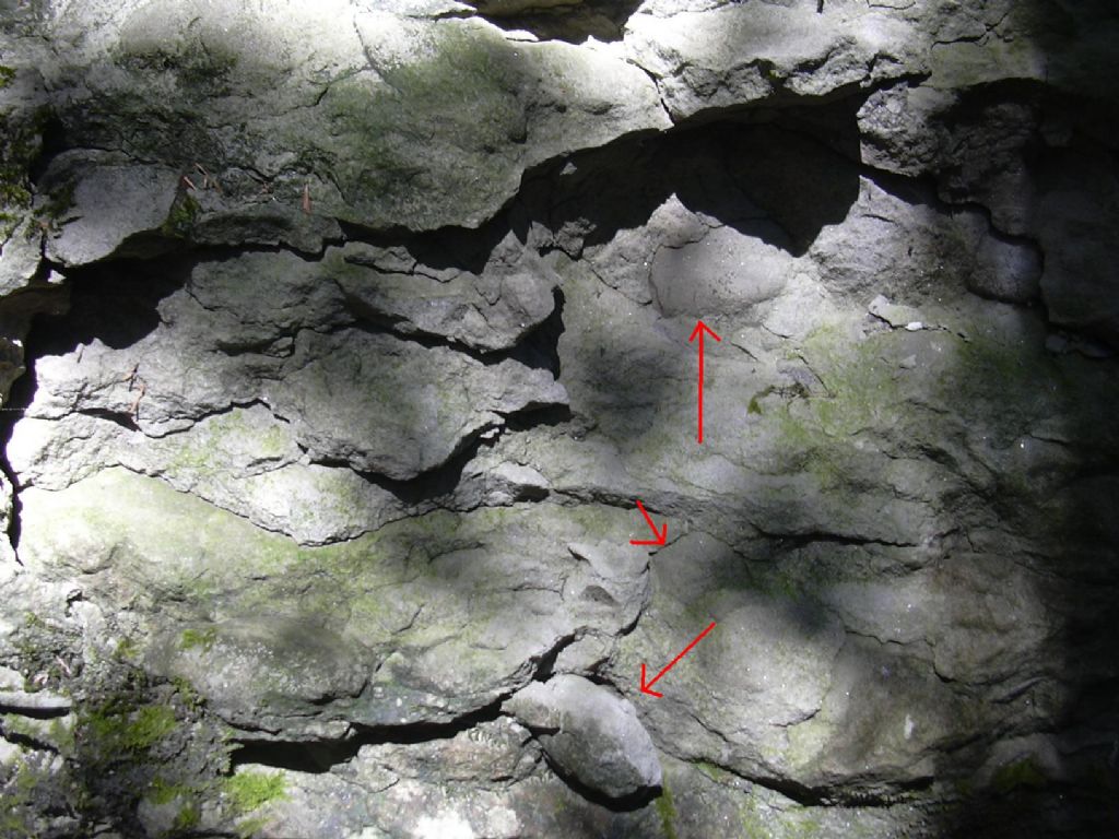 inclusione interessante