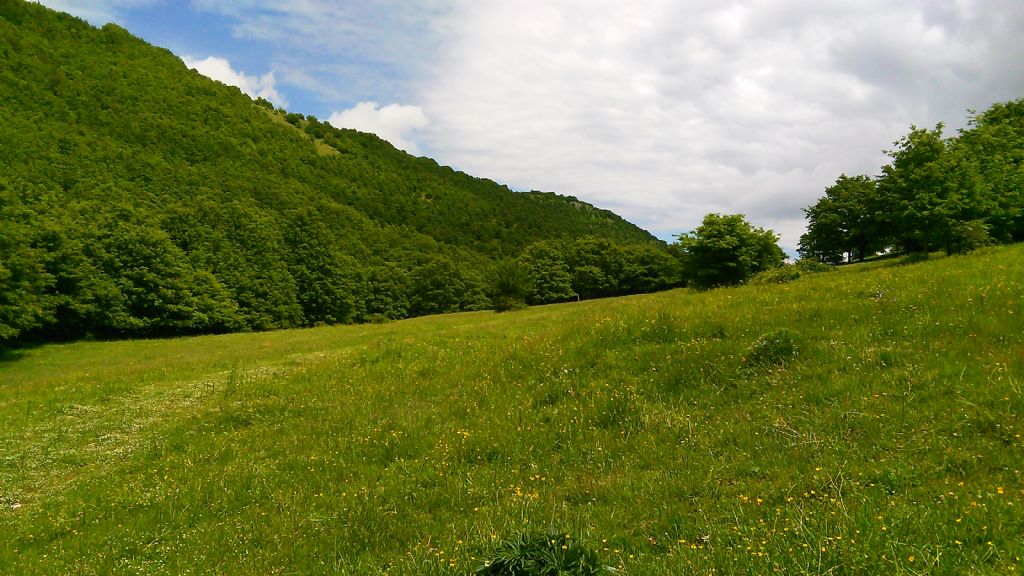 Panorami marchigiani