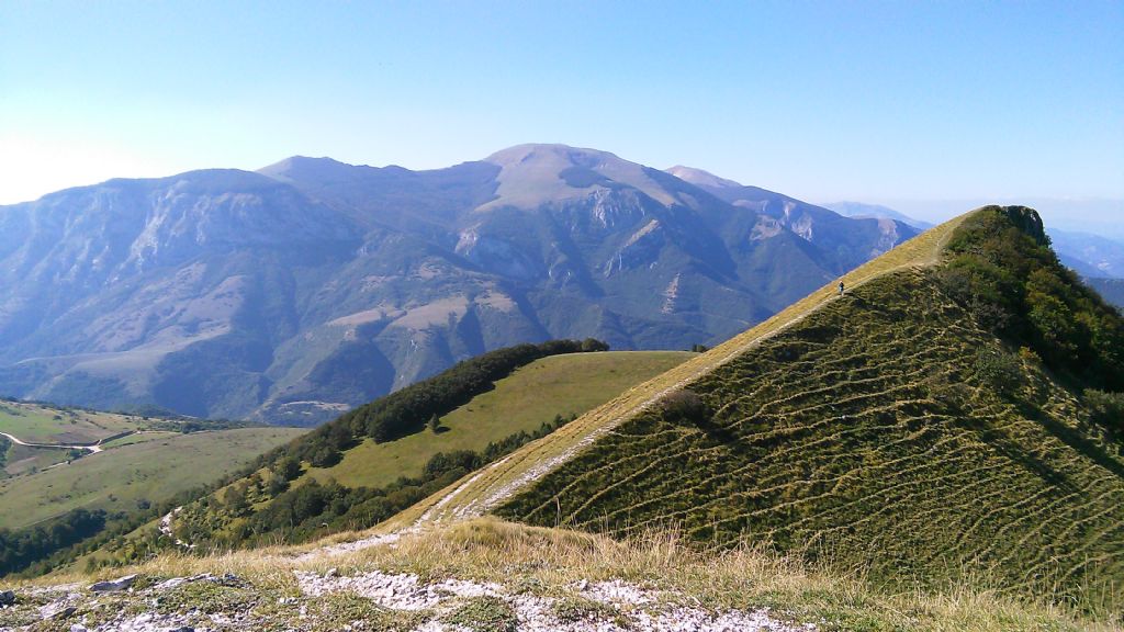 Panorami marchigiani