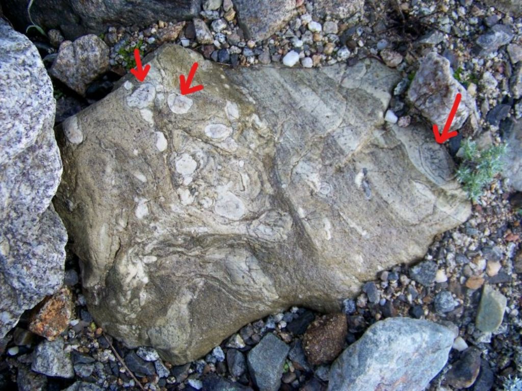 Sasso da identificare