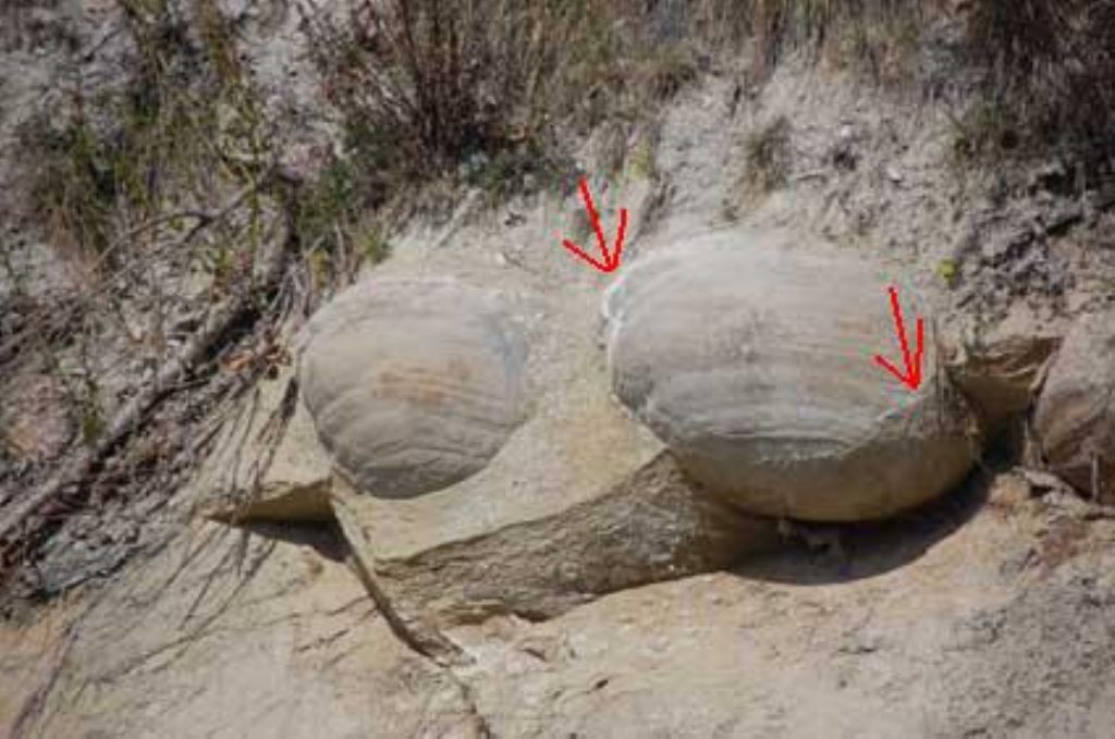 Strane cavit� nell''arenaria