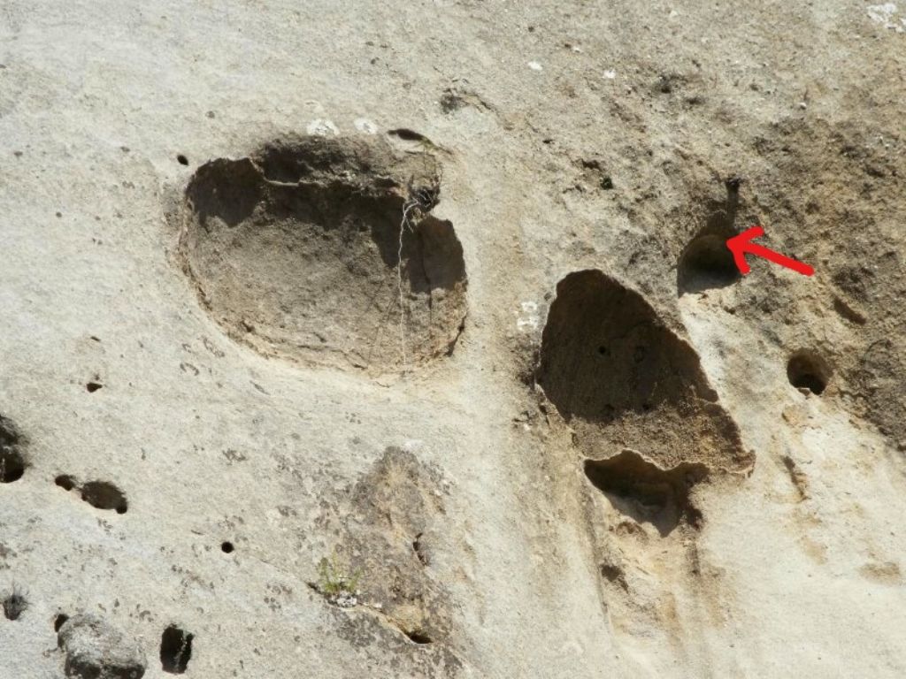 Strane cavit� nell''arenaria