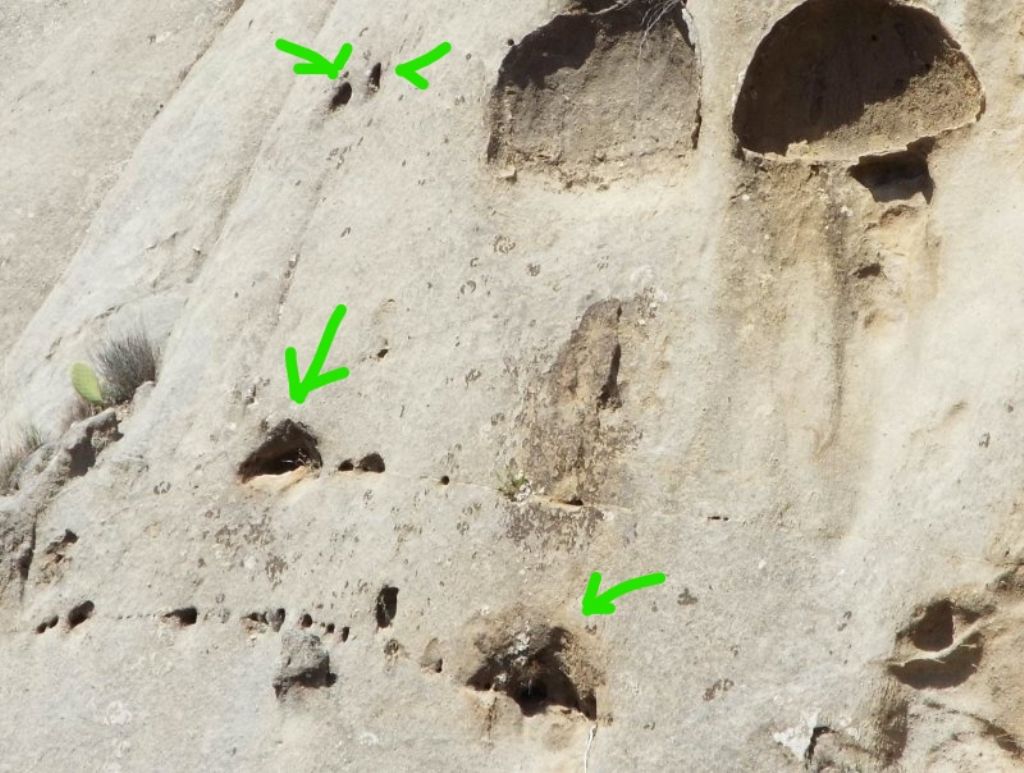 Strane cavit� nell''arenaria