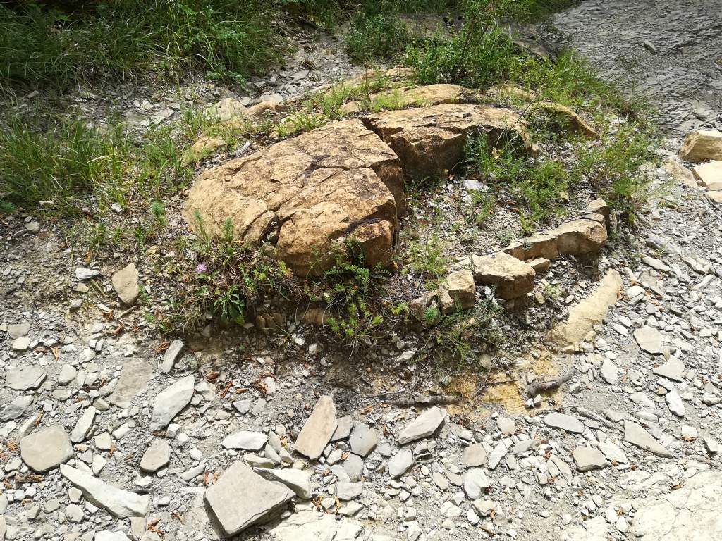 inclusione interessante