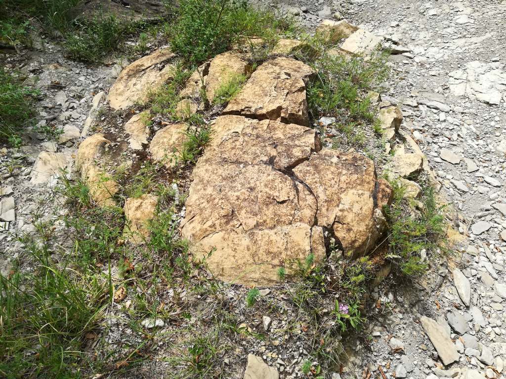 inclusione interessante