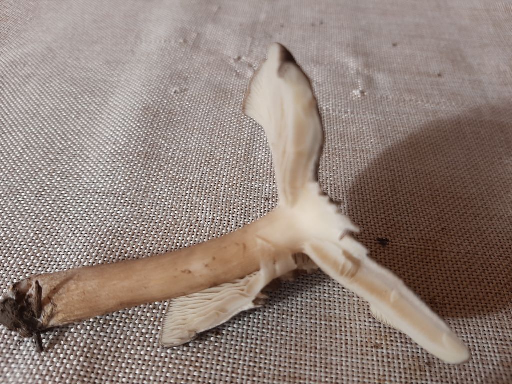 da tempo nel giardino