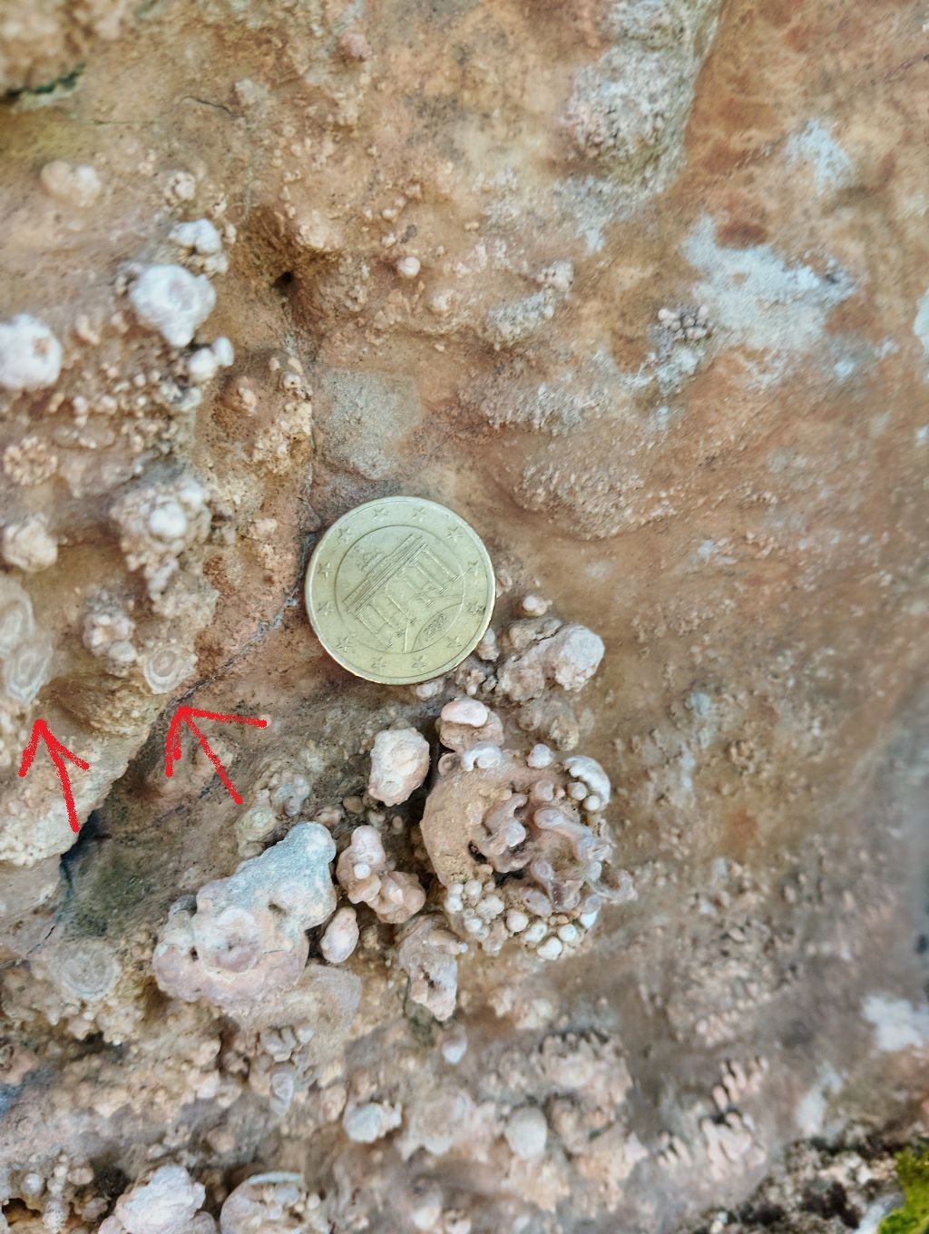 Roccia calcarea dalla strana forma