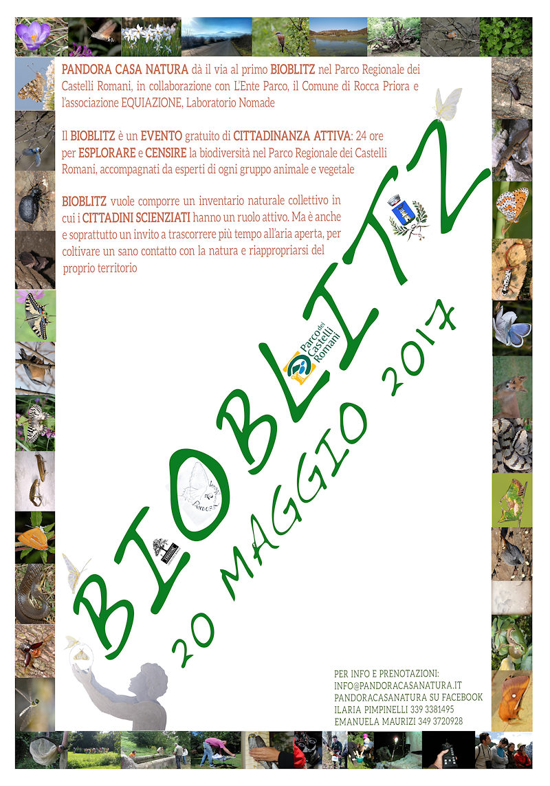 BioBlitz alla Doganella, nel Parco dei Castelli Romani, il 20 maggio 2017