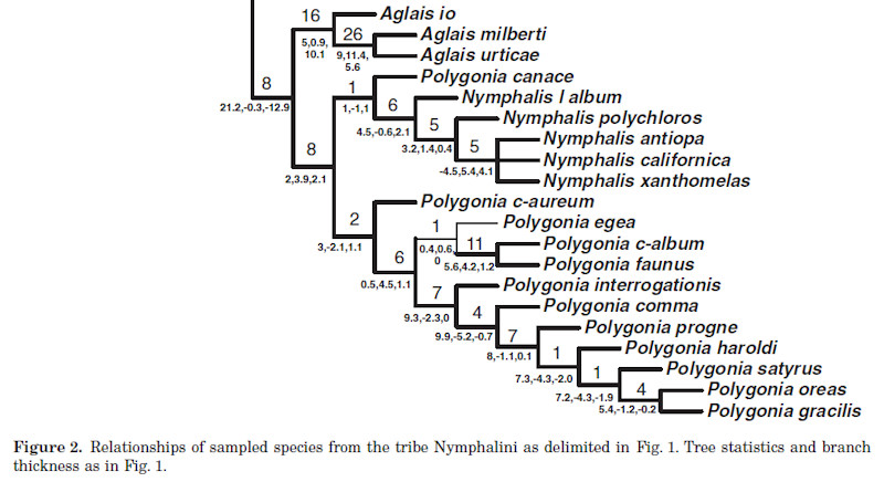 149 specie diverse, da trovare quest''anno??