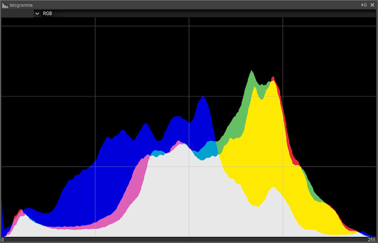 A che servono i files NEF: utilizzo di Capture NX-D