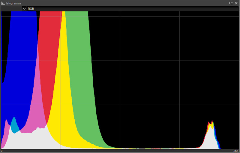 A che servono i files NEF: utilizzo di Capture NX-D