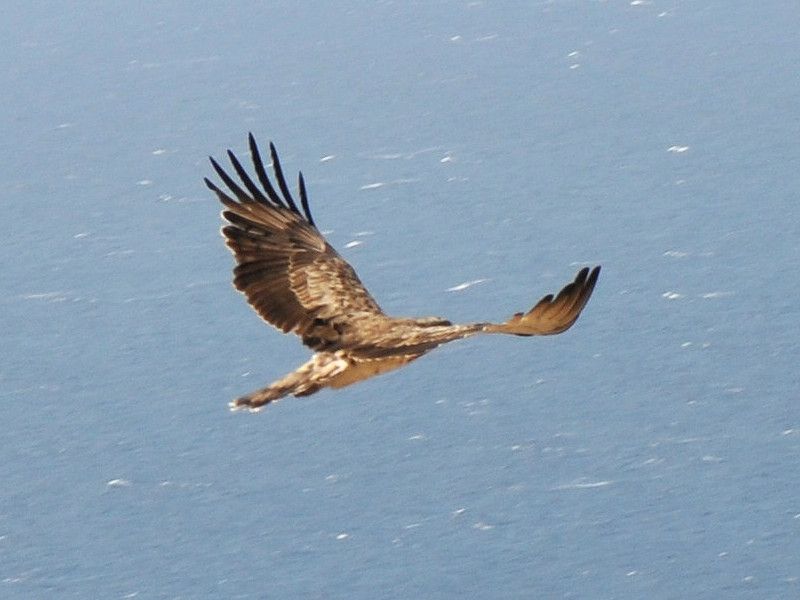 Biancone? Serifos, Grecia
